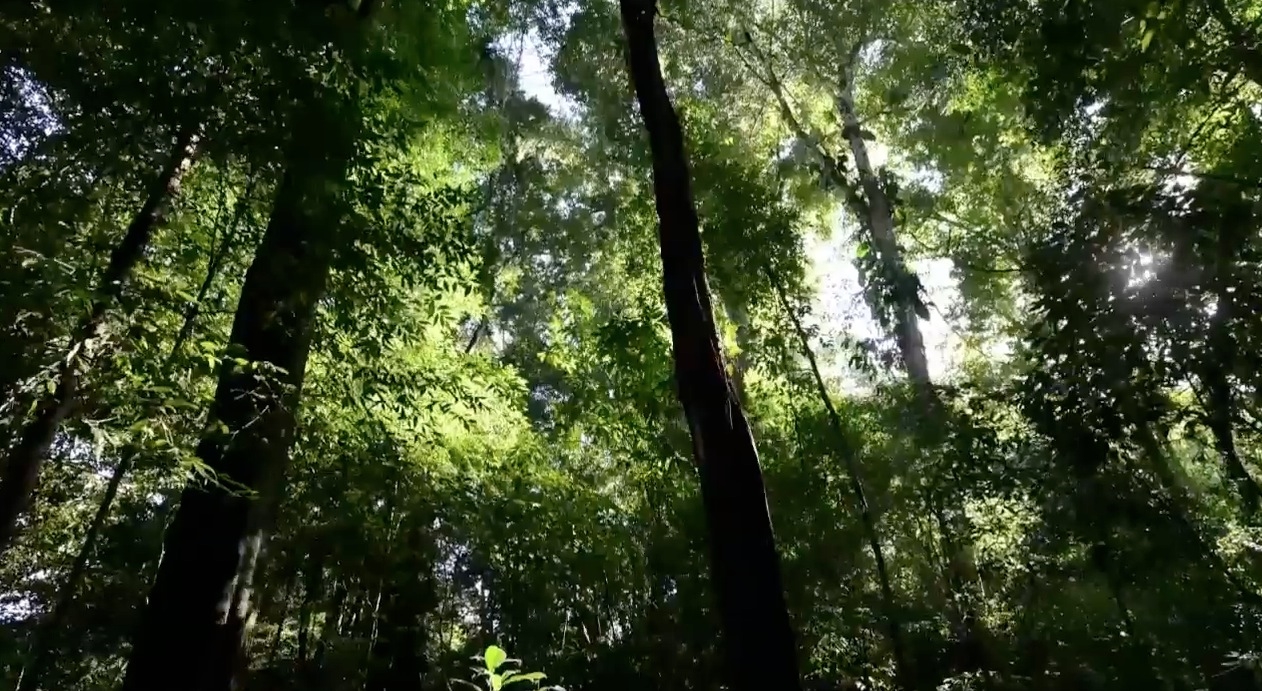 Los lugares más increíbles de Chiapas