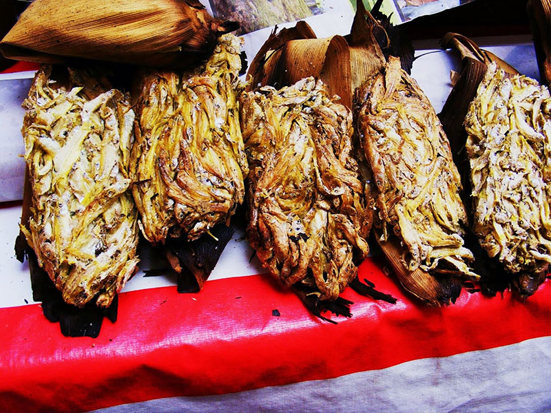 qué comer en Metepec
