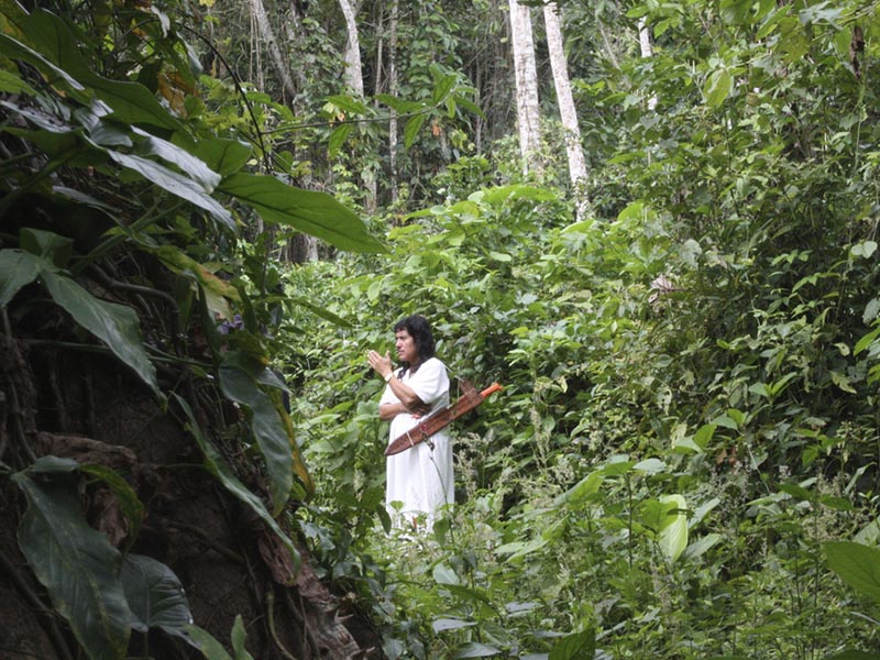 que hacer en Chiapas