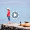 Las mejores cosas que hacer en Islas Galápagos