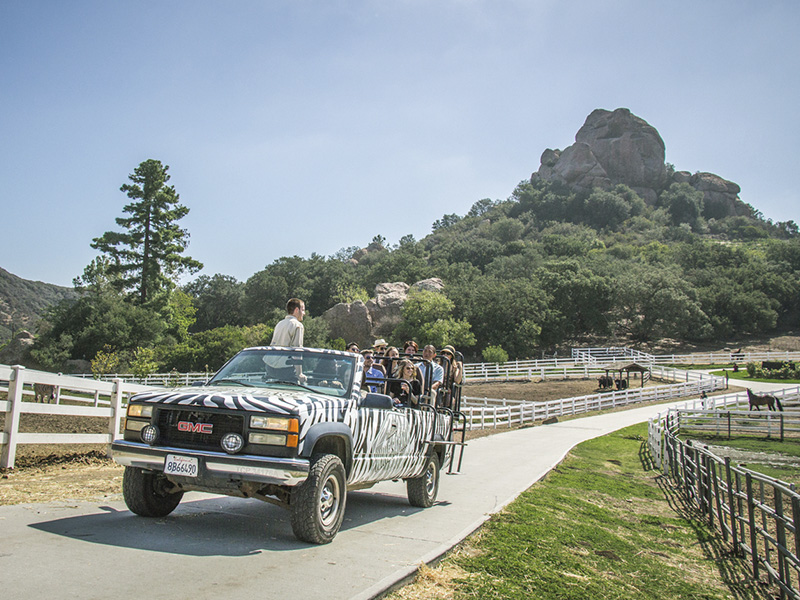 Descubre qué hacer en Los Ángeles, California