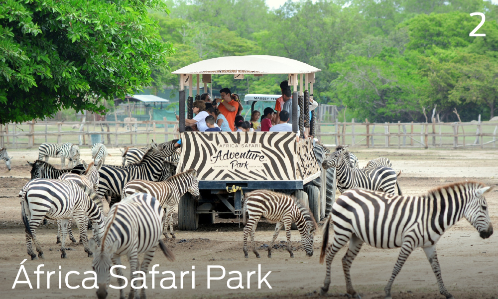 Que hacer en Liberia, Costa Rica, Áfrican Safari Park