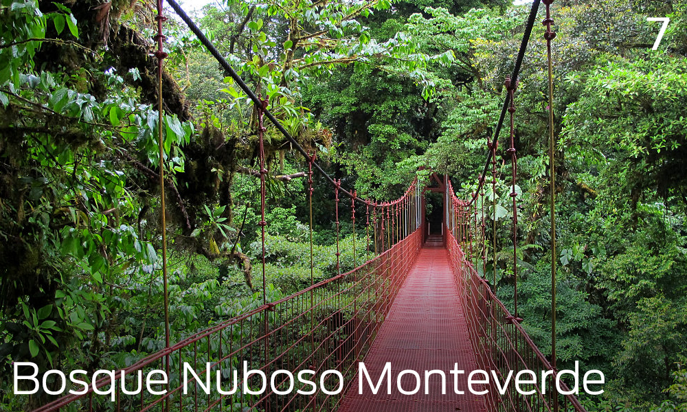 Que hacer en Liberia, Costa Rica, bosque nuboso Monteverde