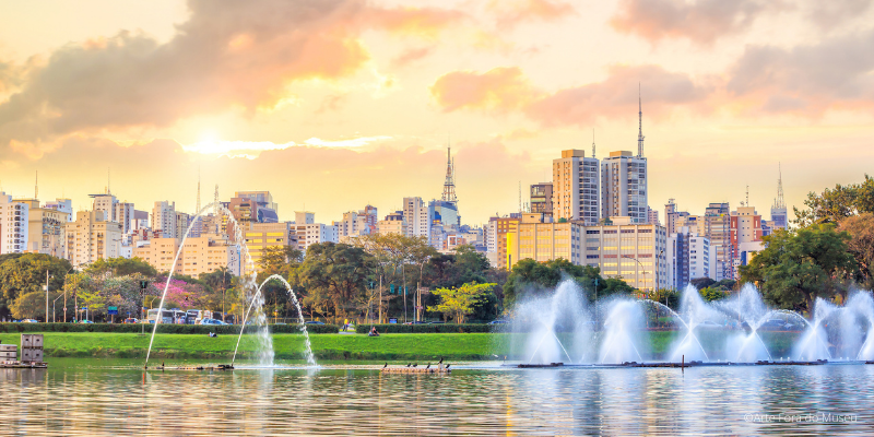 sao paulo que hacer ver