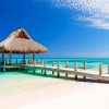 20 cosas que hacer en Punta Cana