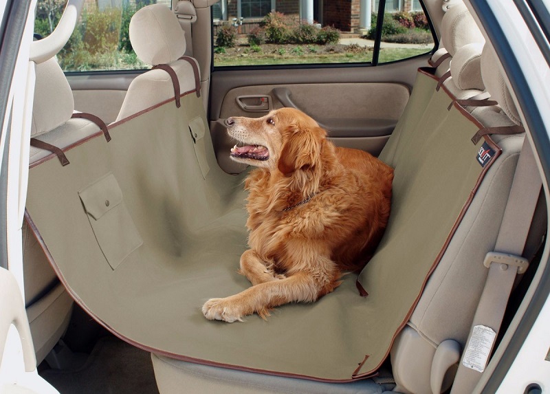 Accesorios para viajar en auto con mascota