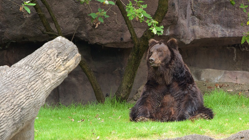 Destinos para visitar en familia, Zoologico de Chapultepec Destinos para visitar en familia