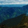 Las mejores cosas que hacer en la Amazonía ecuatoriana