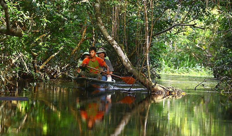 Las mejores cosas que hacer en la Amazonía ecuatoriana