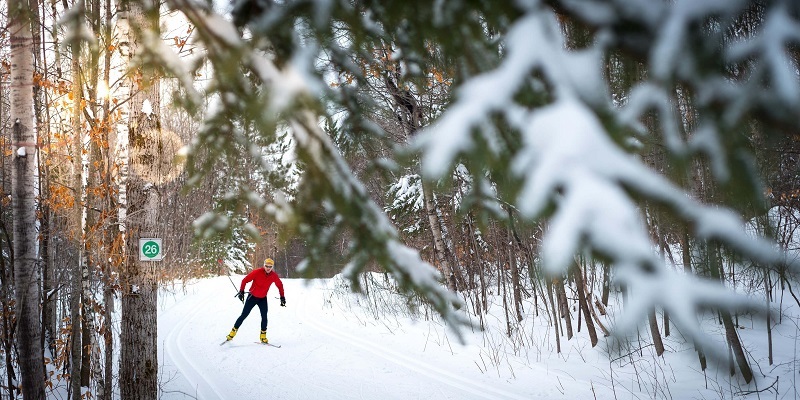 Cuánto cuesta ir a Ottawa en invierno 