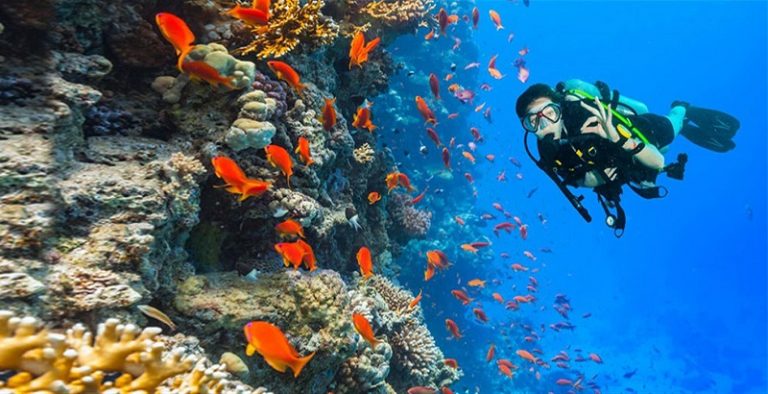Bucear La aventura de bucear en el Mar Rojo - Travel Report