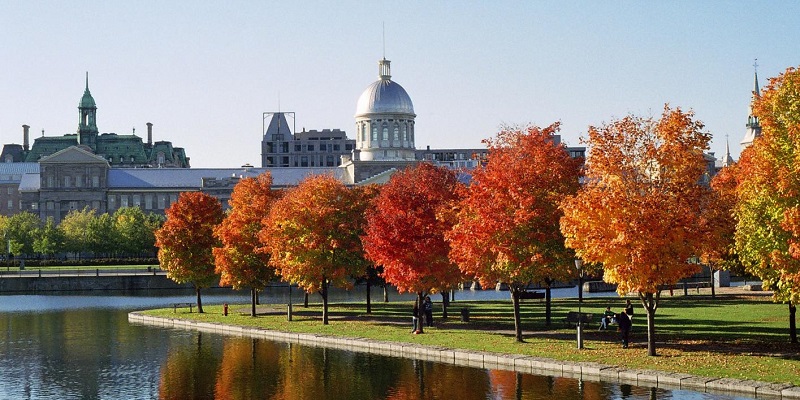 Las 10 mejores cosas que ver en Montreal en verano