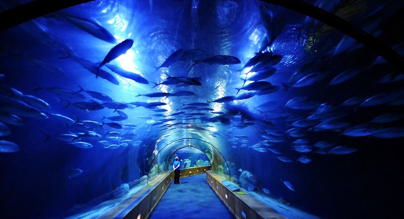 Los túneles más impresionantes del mundo