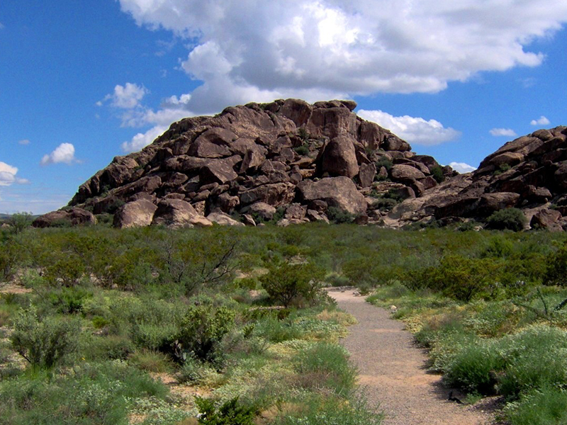 El Paso al Aire Libre