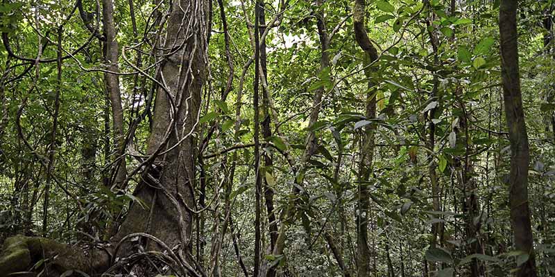 Panamá en una semana