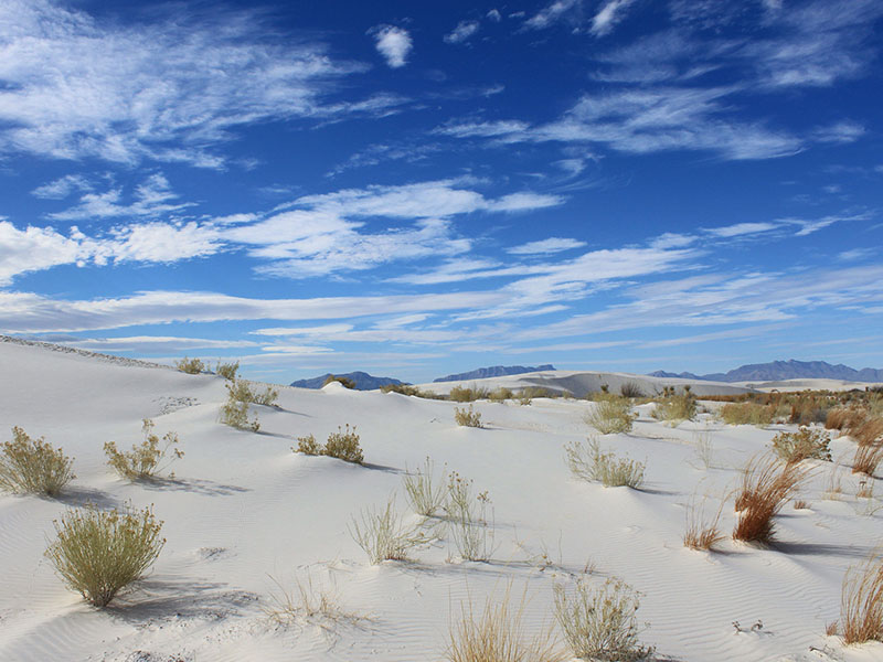 excursiones desde El Paso