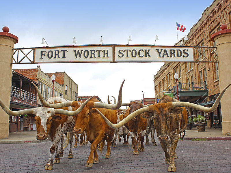 distritos más cool de Fort Worth