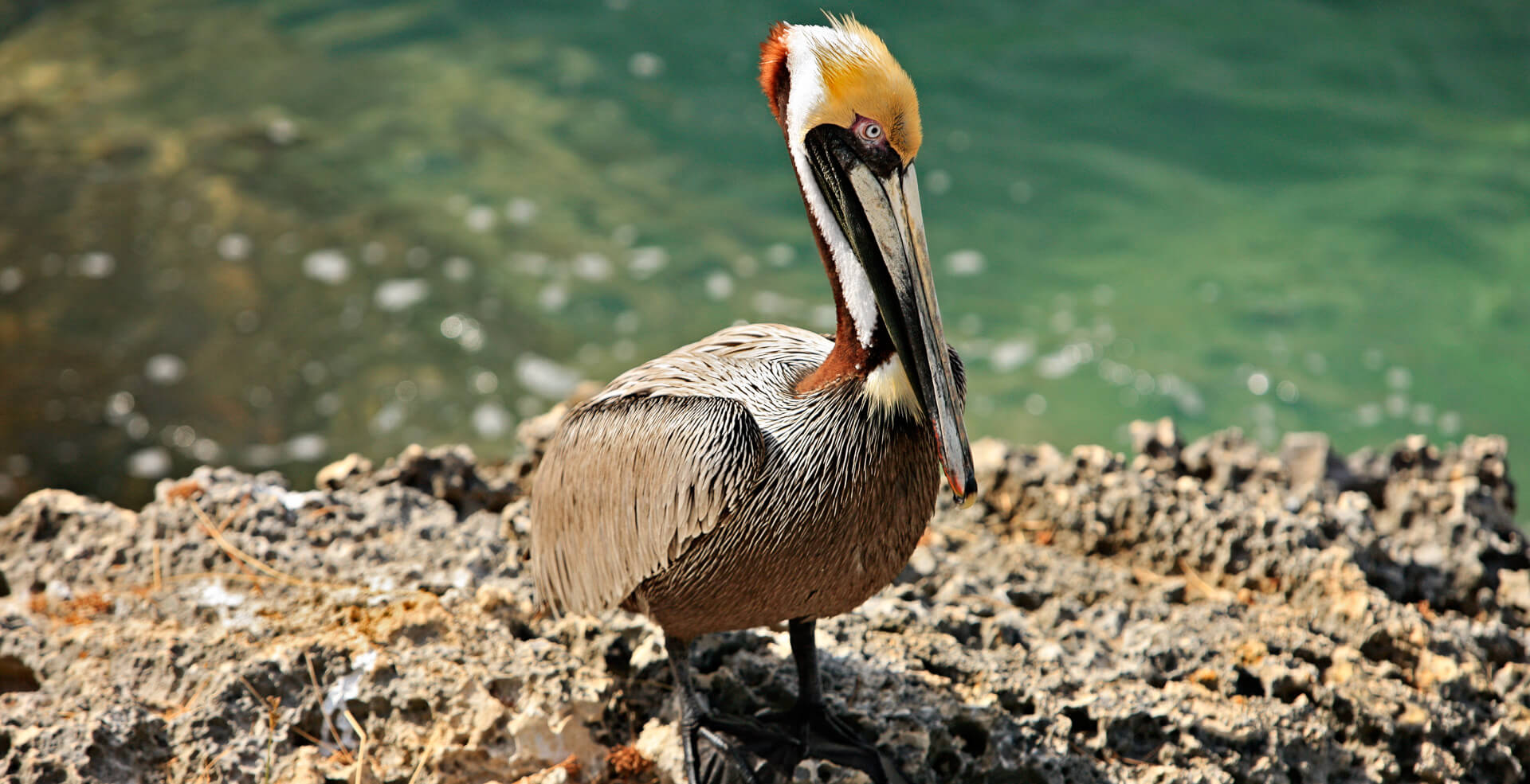 Qué hacer en Isla Mujeres, pueblo mágico de Quintana Roo