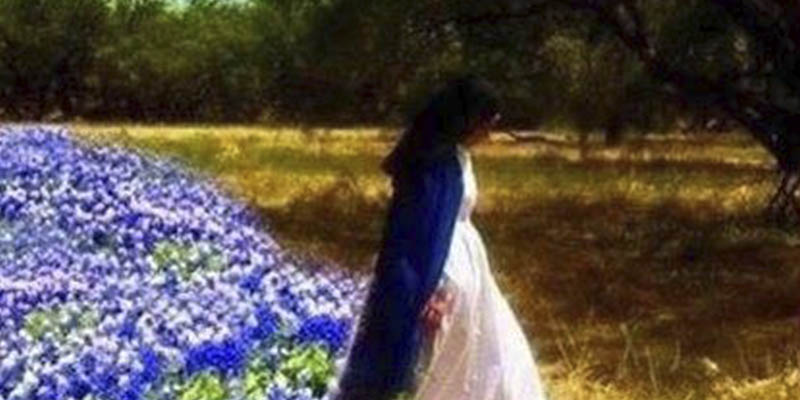 La Dama de Azul La Dama de Azul
