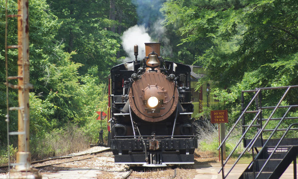 los mejores paseos en tren en Texas