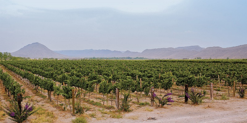 Descubre los 7 Pueblos Mágicos de Coahuila