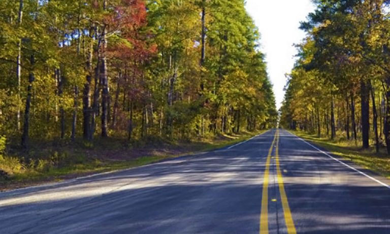 Las mejores cosas que hacer en Piney Woods, East Texas - Travel Report