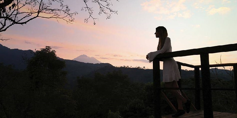 Cuánto cuesta la Ruta del Café en Chiapas