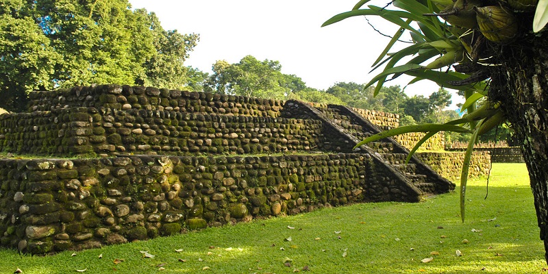 Cuánto cuesta la Ruta del Café en Chiapas