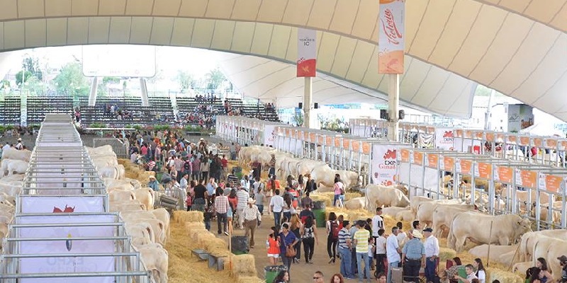 Feria Nacional de San Marcos