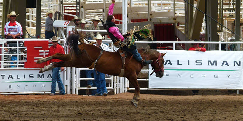 Calgary - Aeroméxico 1