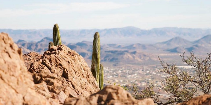Los paisajes son uno de los principales atractivos de Sonora.