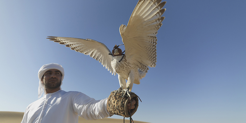 que hacer en los Emiratos Árabes