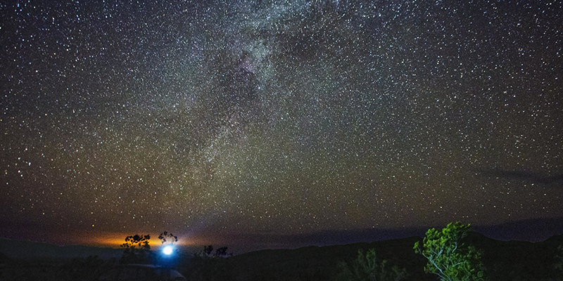 Big Bend night sky