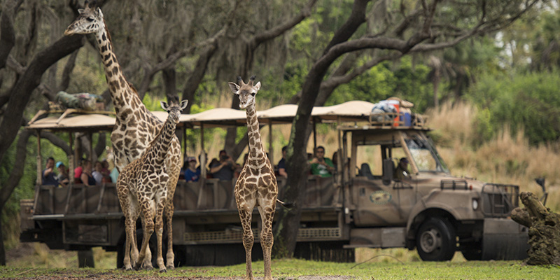 mejores atracciones de Disney World para niños