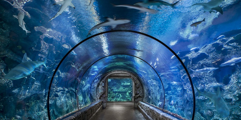 10 cosas que hacer en Las Vegas con niños