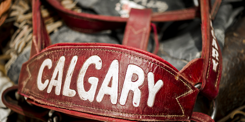 Calgary Stampede