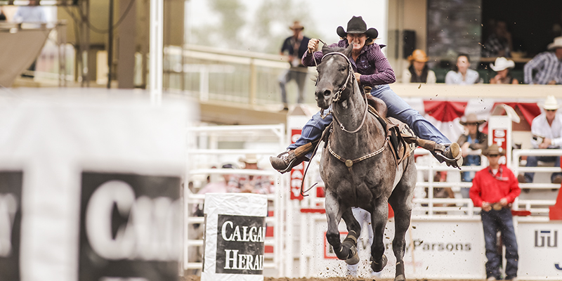 Calgary Stampede