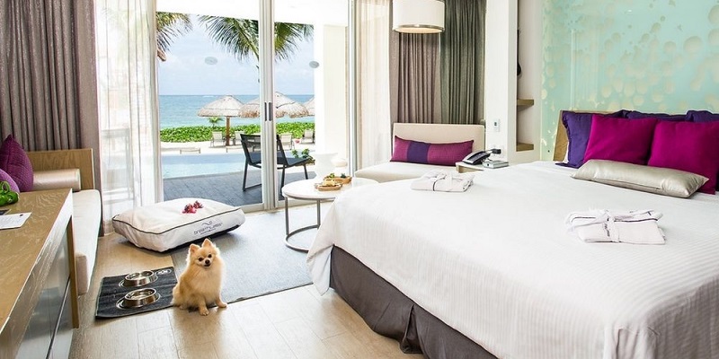 Hoteles que aceptan mascotas en Riviera Maya