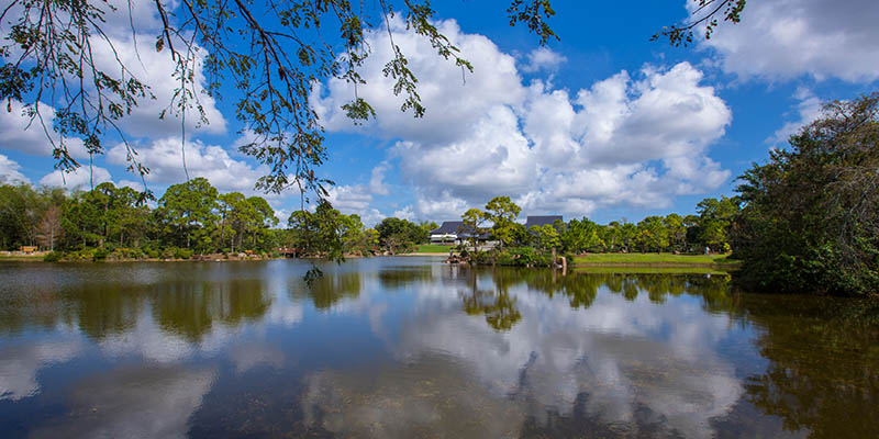 Hay que visitar este bello lugar de The Palm Beaches