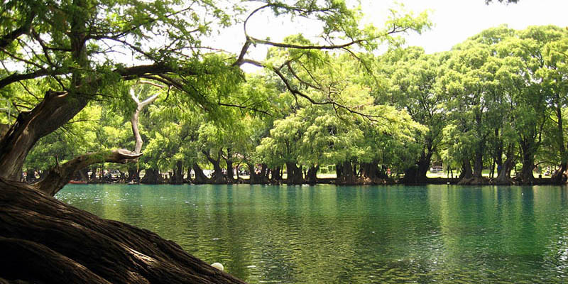 Imagina ver este paisaje del Lago de Camécuaro desde una tienda de campaña