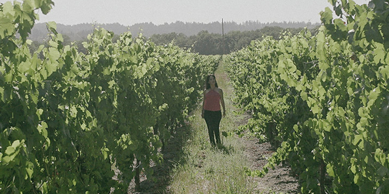 Mejores bodegas de vino de Estados Unidos