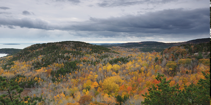 Otoño en Estados Unidos