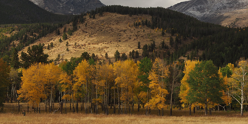 Otoño en Estados Unidos