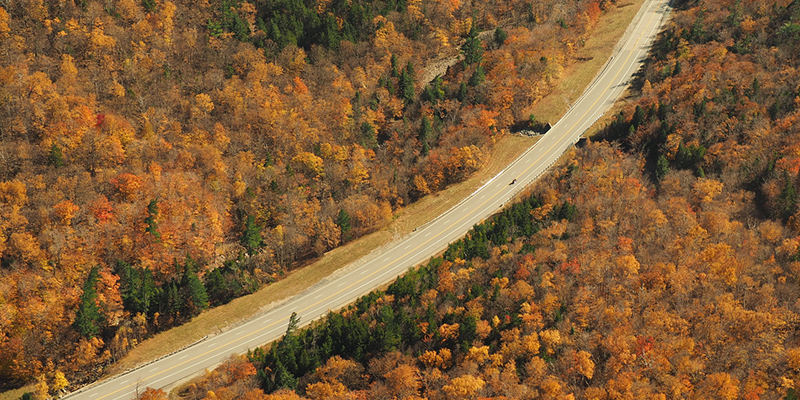 Otoño en Estados Unidos
