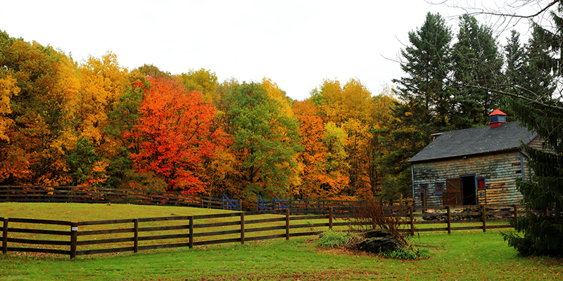 Otoño en Estados Unidos