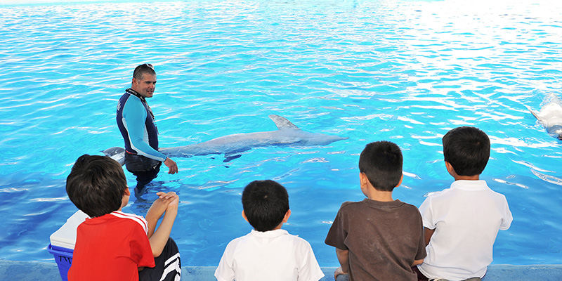 Una de las actividades del acuario