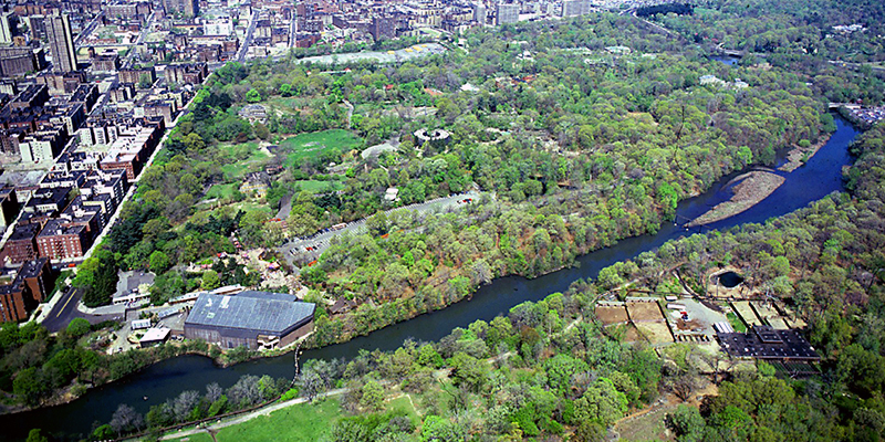 Vale la pena que visitar en el Bronx el lugar que inspiró la película "Madagascar"