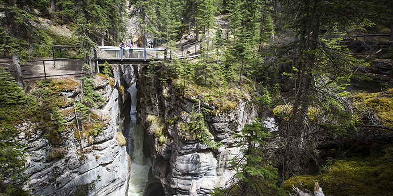 Maligne Canyon