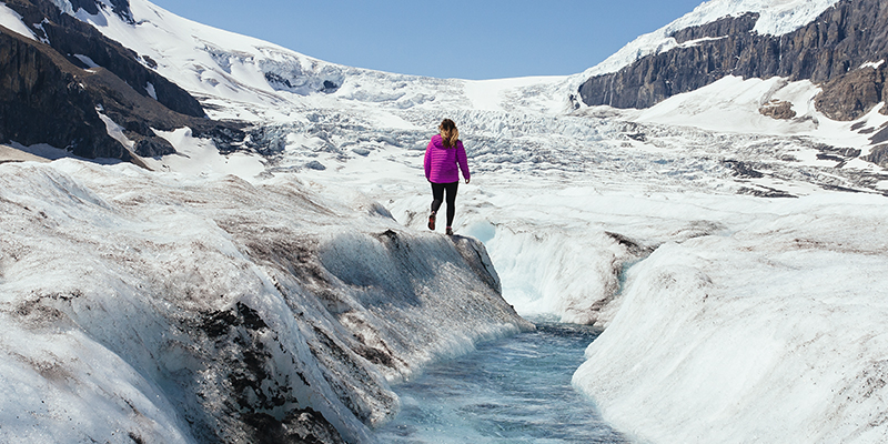 Columbia Icefields