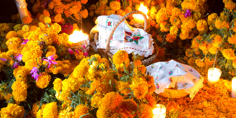 ¿Dónde celebrar el Día de Muertos en México?